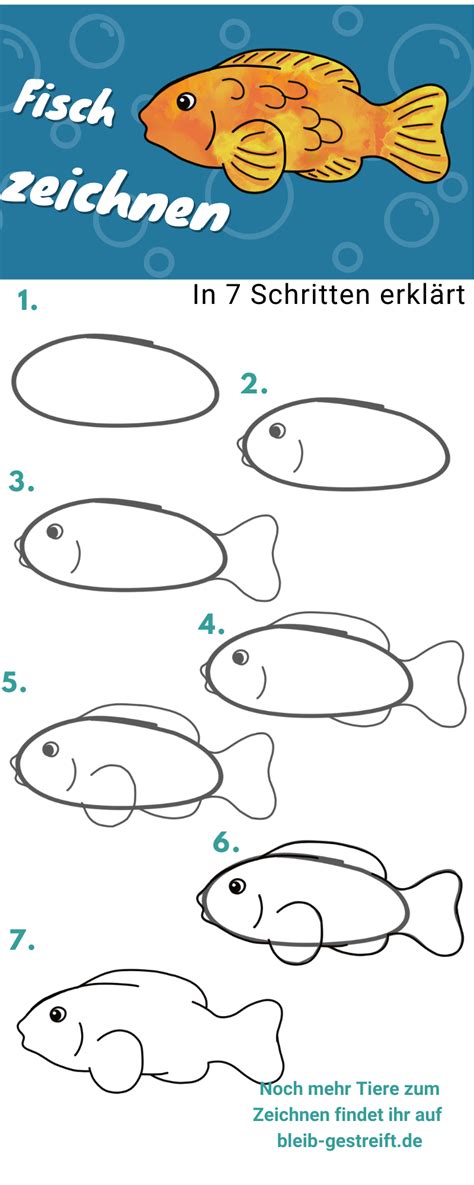 fische zeichnungen|fische zeichnen mit anleitungen.